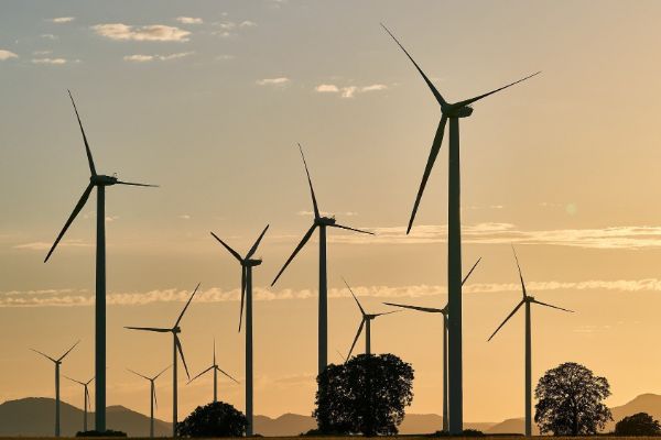 Image of Wind Turbine Farm